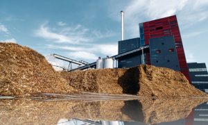 Jaký je potenciál využití biomasy v Česku a ve světě